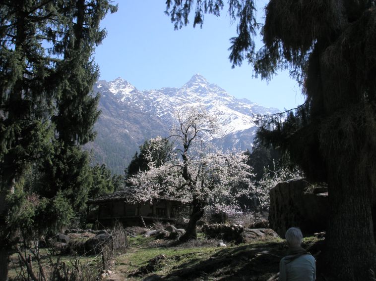 Parvati valley
